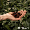 Orkideakaarna (Orchid Bark) 3L - kuva 2