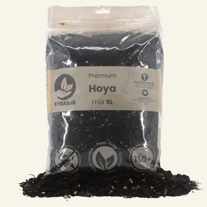 Premium Hoya Mix 5L pääkuva